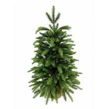 Vánoční stromek smrk pravidelný v jutu 60 cm.