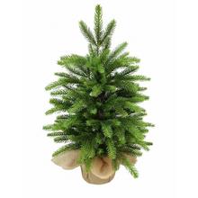 Vánoční stromeček zatížený, smrk pravidelný v jutu, 45 cm.