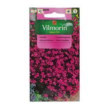 Semena hřebíčku slzičkového 0,5g