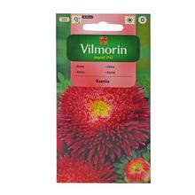 Semena ASTRA čínská Ksenia 0,5g