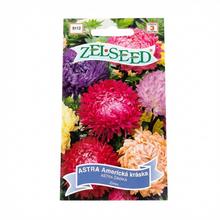 Semena Astra americká kráska, vysoká směs 0,7g