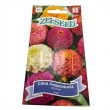 Semena Cínie Pompon zmes 0,8g