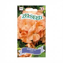 Semena pelargonie kruh lososová F1