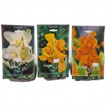 CIBUĽOVINY CANNA exclusive - balení s gladioly