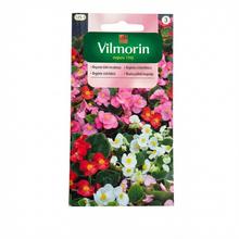 Semena begónie v balení 0,02g.