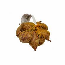 Cibule sazečka šalotka LONGOR v síťce, 250g