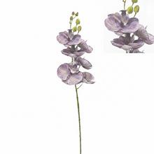 Umělá orchidej Phalaenopsis tmavě fialová 72 cm.